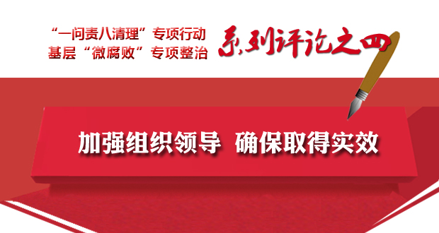 全省两个专项工作系列评论之四 加强组织领导 确保取得实效