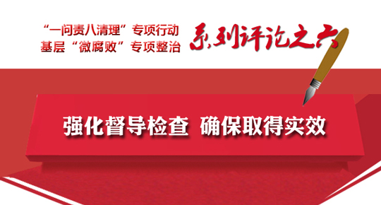 全省两个专项工作系列评论之六 强化督导检查 确保取得实效