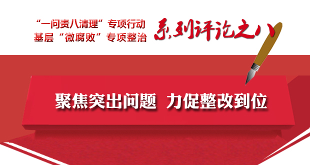 全省两个专项工作系列评论之八 聚焦突出问题 力促整改到位